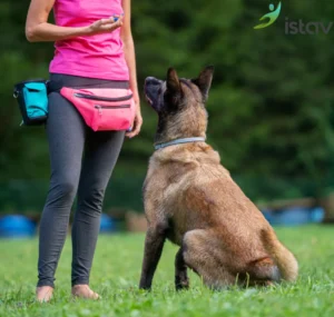 Actualités - ISTAV FORMATION