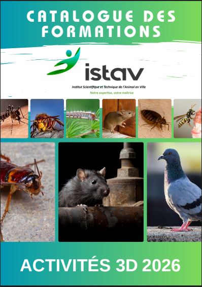 Catalogue de formation 3D 2026