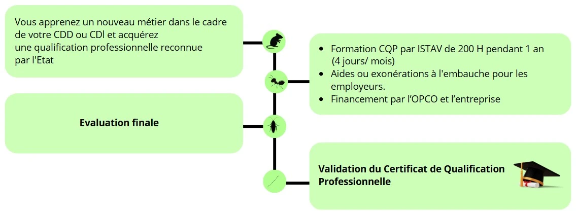 CQP Technicien en Maîtrise du Risque Nuisible - ISTAV FORMATION